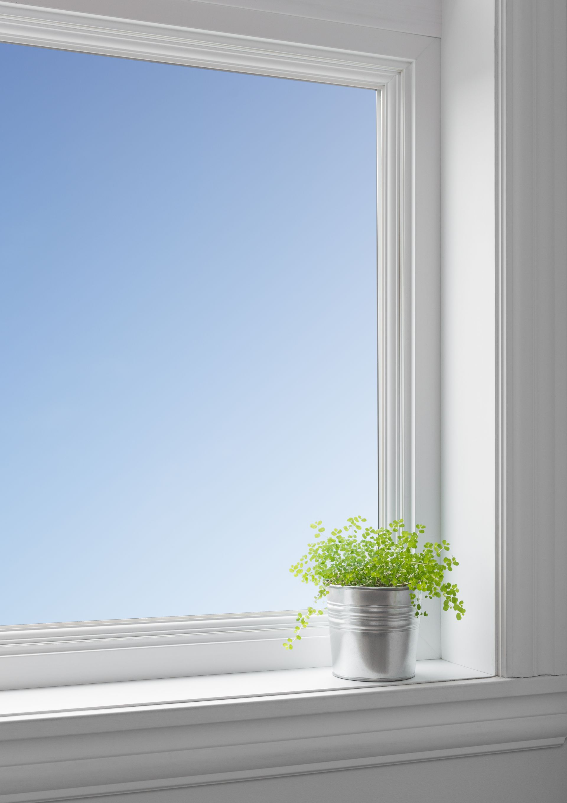 A potted plant is sitting on a window sill.
