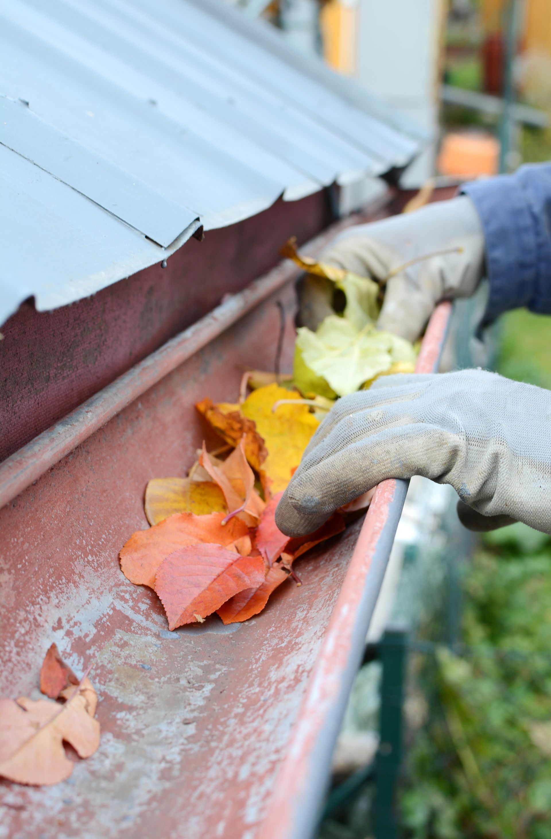 A person is cleaning a gutter with leaves from the roof.