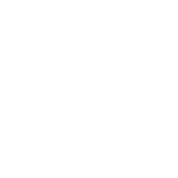 Black silhouette map of Nevada showing its county borders on a white background.
