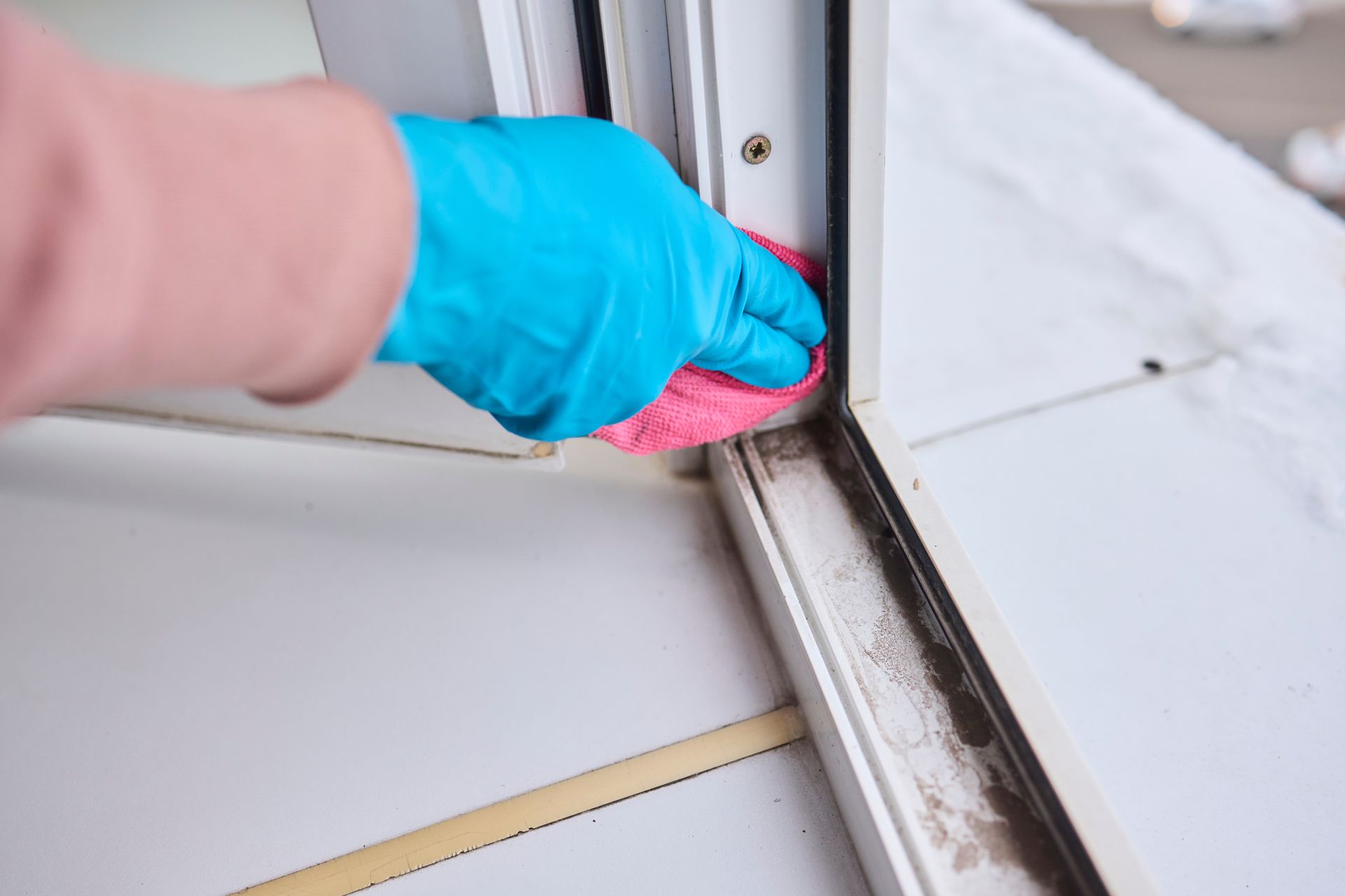 A person wearing blue gloves is cleaning a window with a sponge.