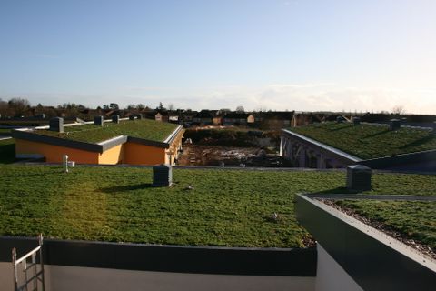 Garden roofing
