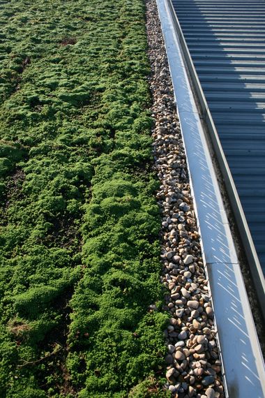 Green roofing systems