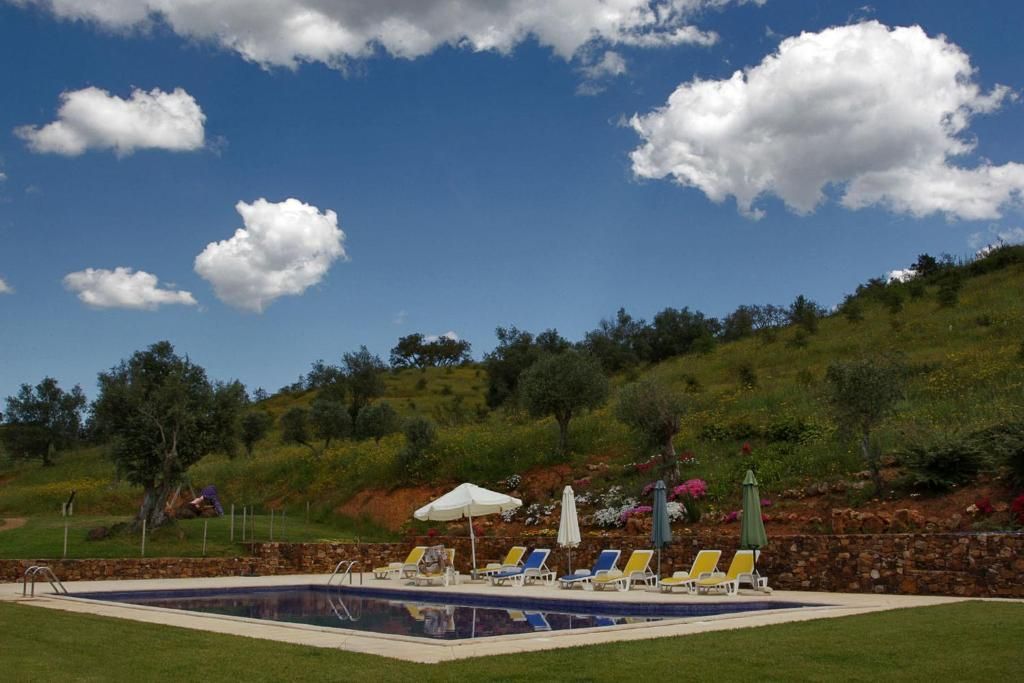 Piscina com espreguiçadeiras, oliveiras e uma colina gramada sob um céu azul com nuvens.