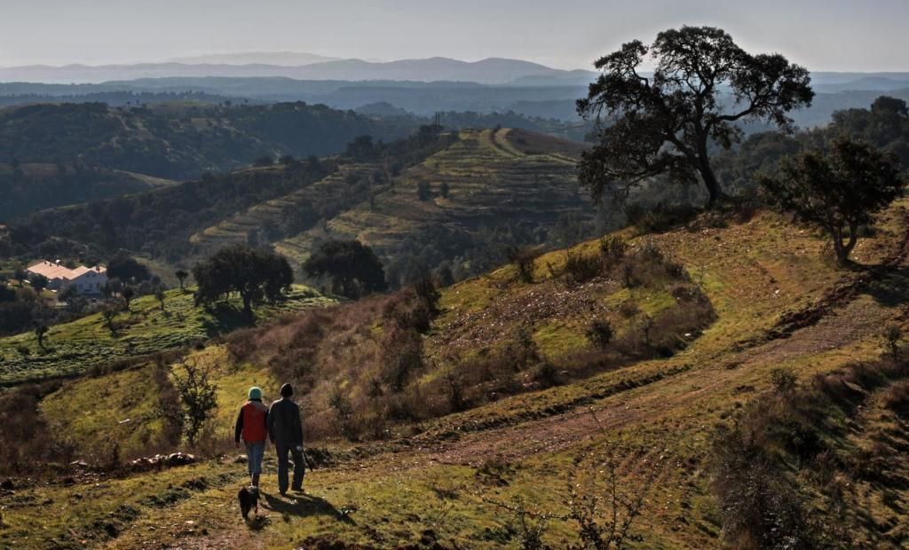 Duas pessoas caminhando com um cachorro em uma colina gramada com vista para um vale; dia ensolarado.