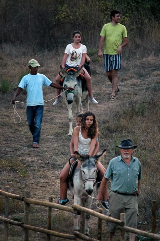 Pessoas montadas em burros numa encosta, conduzidas por tratadores.