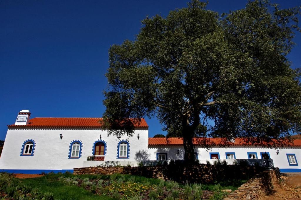 Prédio branco com detalhes em azul e telhado de telha vermelha, emoldurado por uma grande árvore, sob um céu azul.