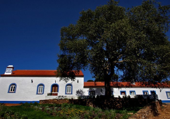 Prédio branco com telhado vermelho, detalhes em azul e uma grande árvore contra um céu azul.