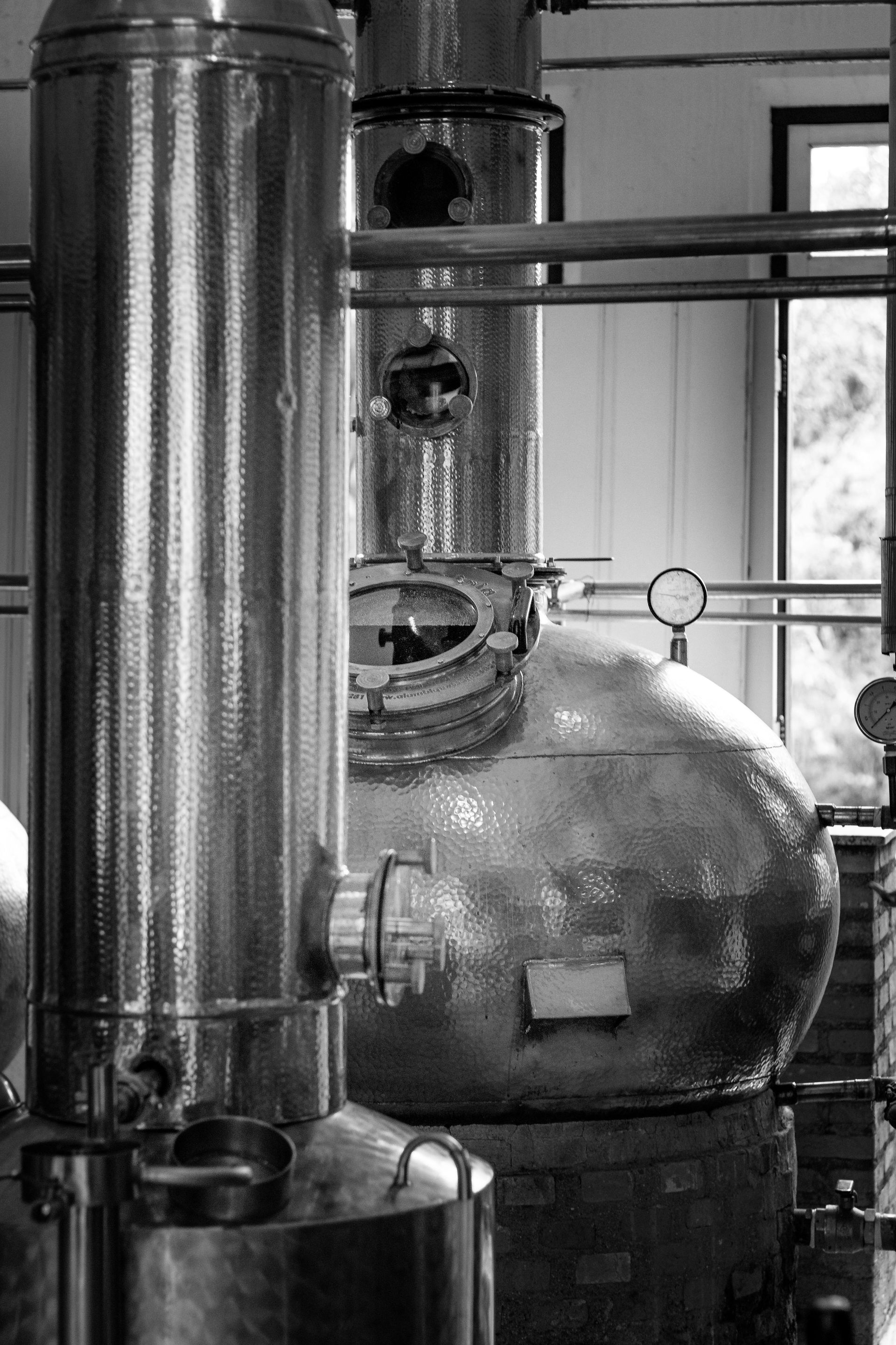 Mixing Equipment in the Food & Beverage Industry: Ensuring Safety and Taste
