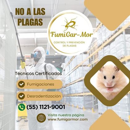 FUMIGARMOR