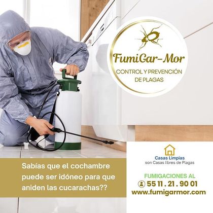 FUMIGARMOR