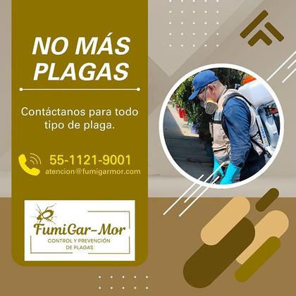 FUMIGARMOR