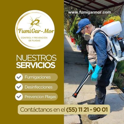 FUMIGARMOR