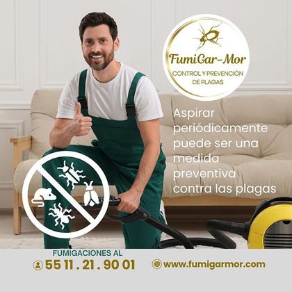 FUMIGARMOR