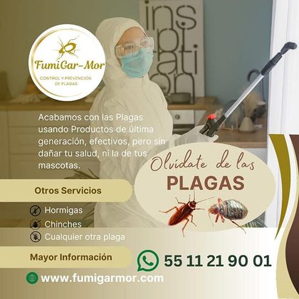 FUMIGARMOR