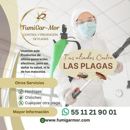 FUMIGARMOR