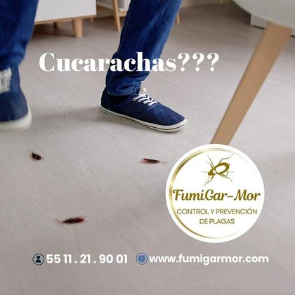 FUMIGARMOR