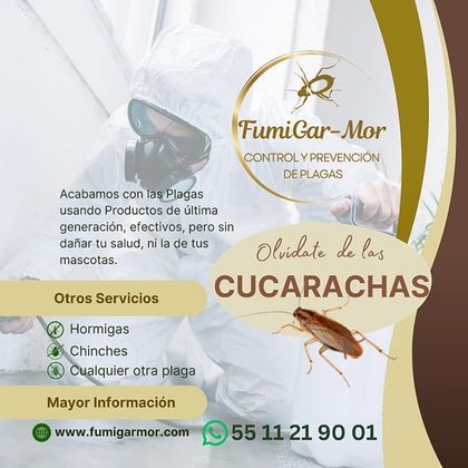 FUMIGARMOR