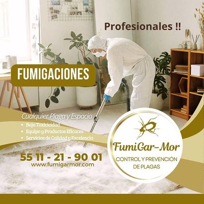 FUMIGARMOR