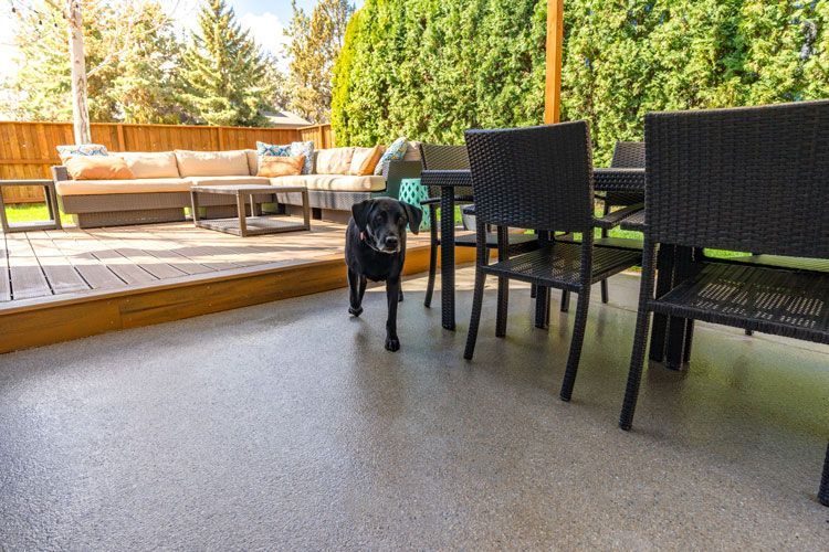 A dog is standing on a patio next to a table and chairs.
