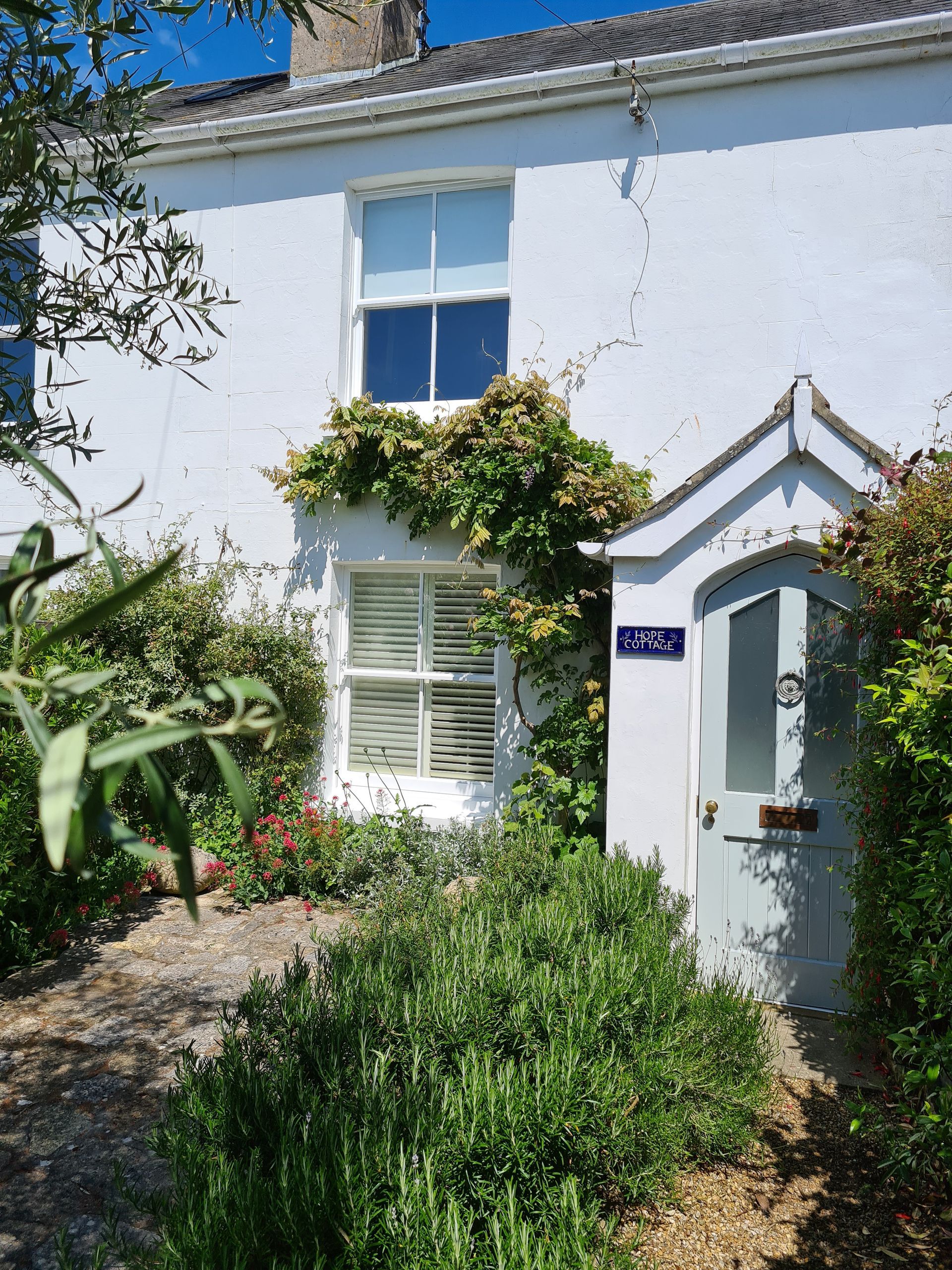 A white house with a blue door is surrounded by plants and bushes.