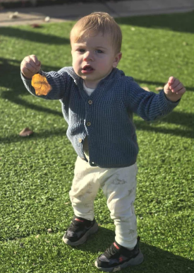 Toddler wearing blue sweater, holding a leaf, standing on green turf.