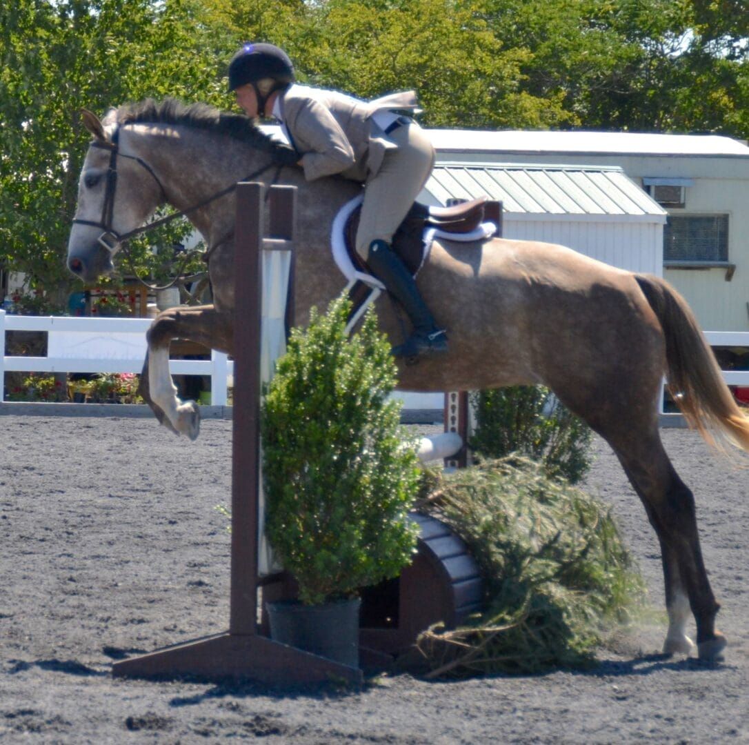 A person riding a horse jumping over a fence