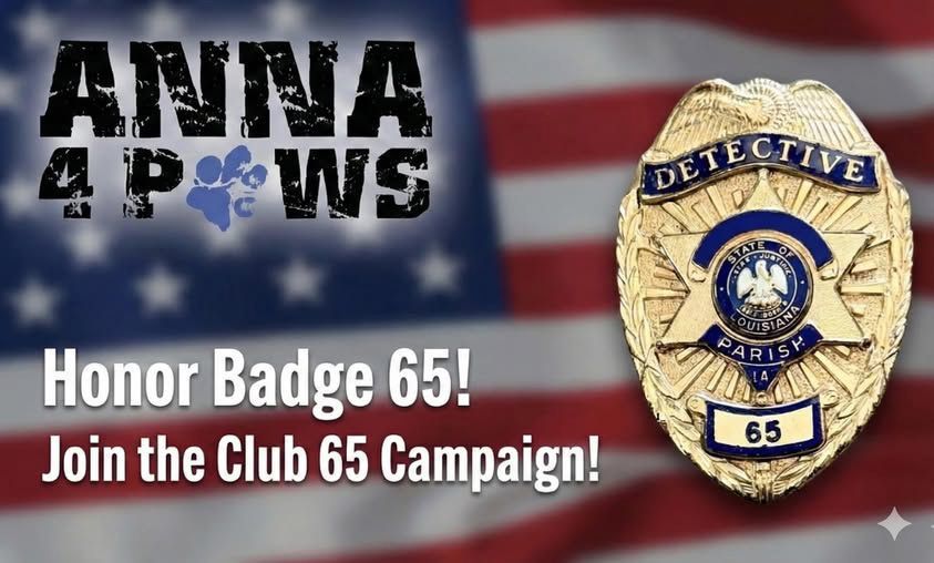 Promotional graphic: 