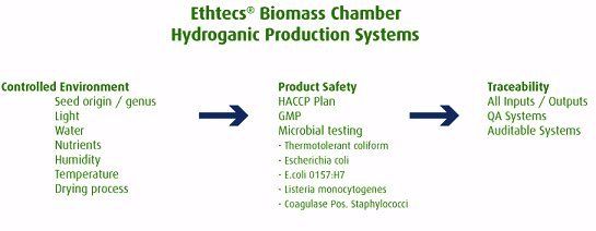 Hydrogranic production system