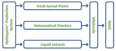 Hydroganic production system