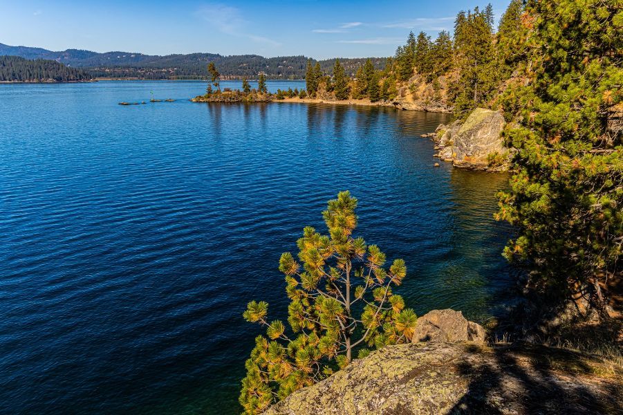 a large body of water surrounded by trees on a sunny day .