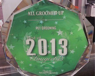 2013 Award — Pet Grooming in Saugerties,, NY
