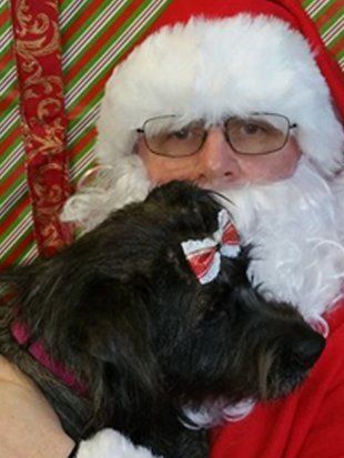 Dog with Santa1 — Pet Grooming in Saugerties,, NY