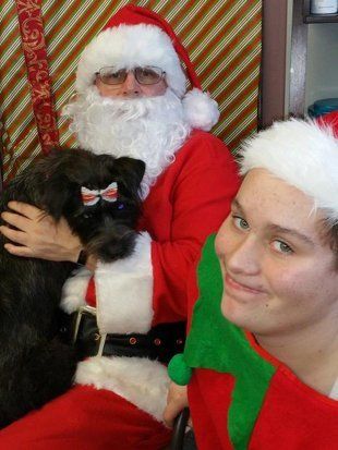 Dog with Santa4 — Pet Grooming in Saugerties,, NY