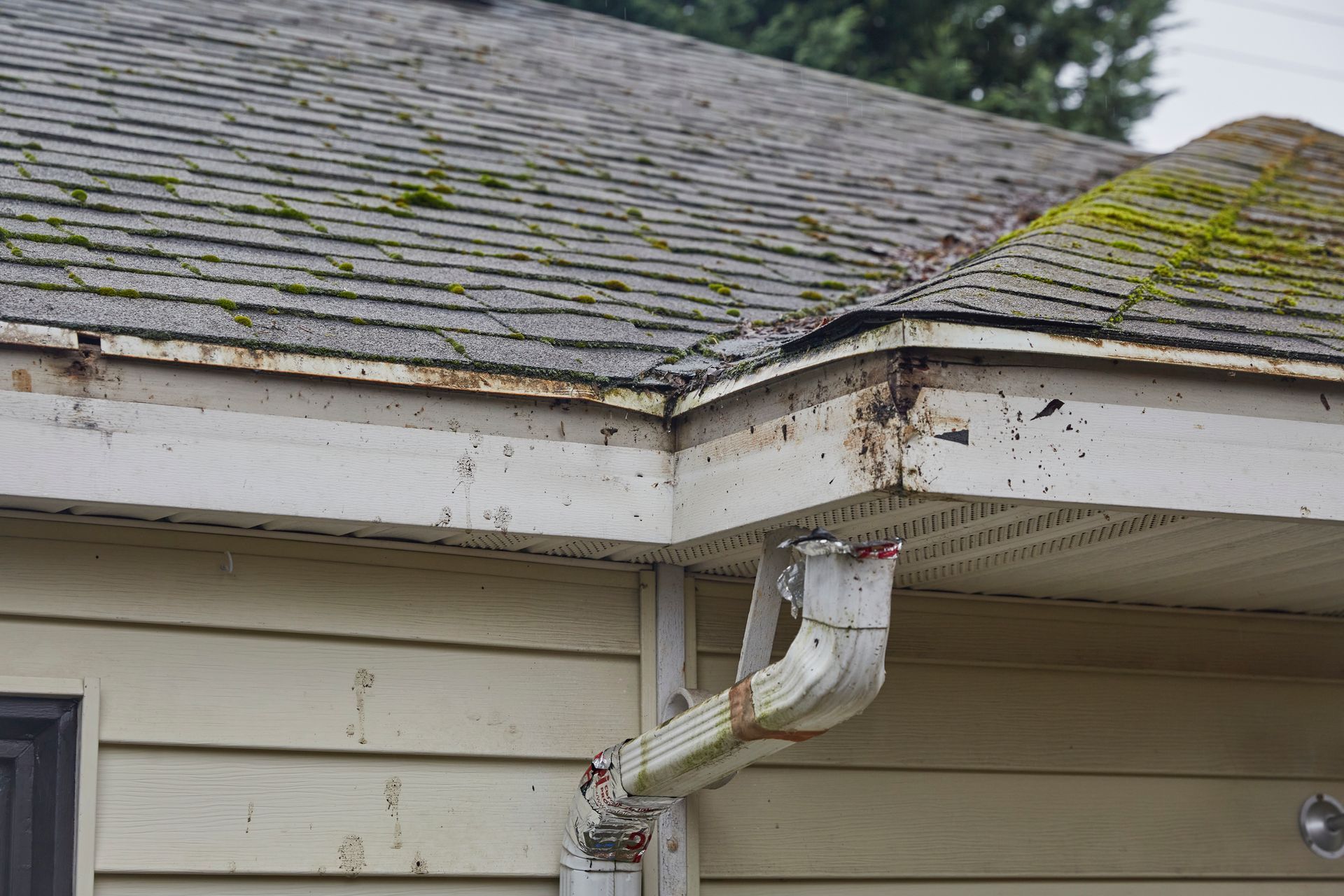 Roof of a house with moss, damaged gutters, and white siding.