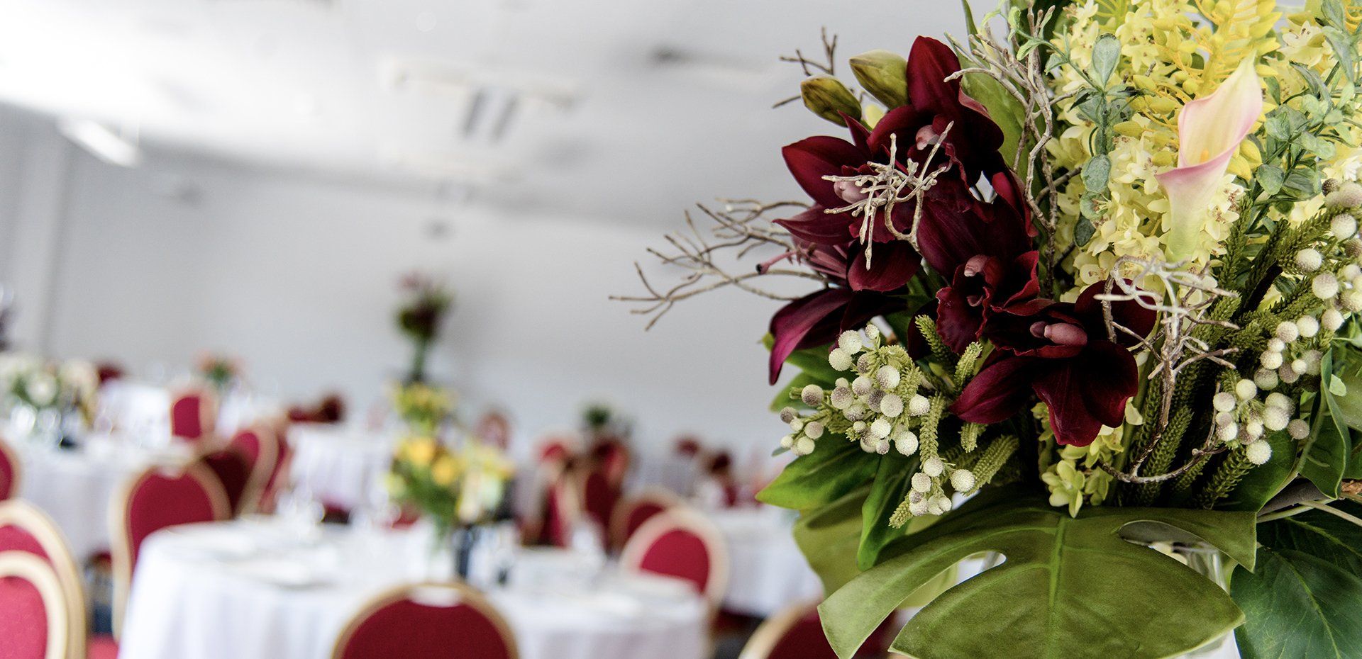 HOST Somerset | MEETING ROOM EXTRAS