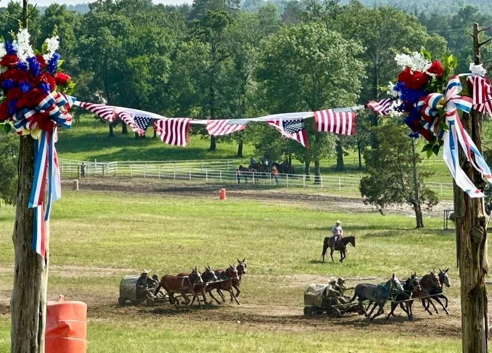 Horse-drawn wagon race on a grassy field under red, white, and blue bunting and flags