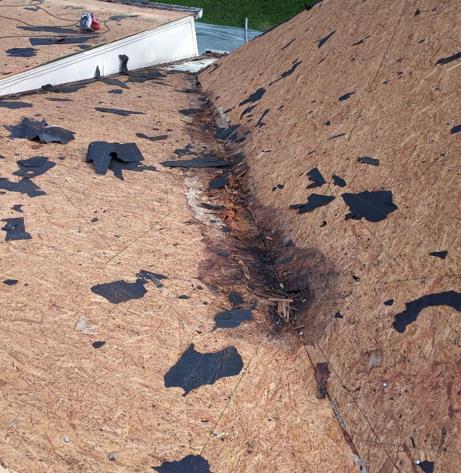 A roof with a lot of black spots on it