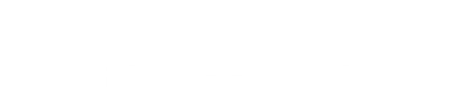 logo fitness platinium