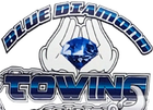 Blue Diamond Towing logo: hands cupping a blue diamond, with 