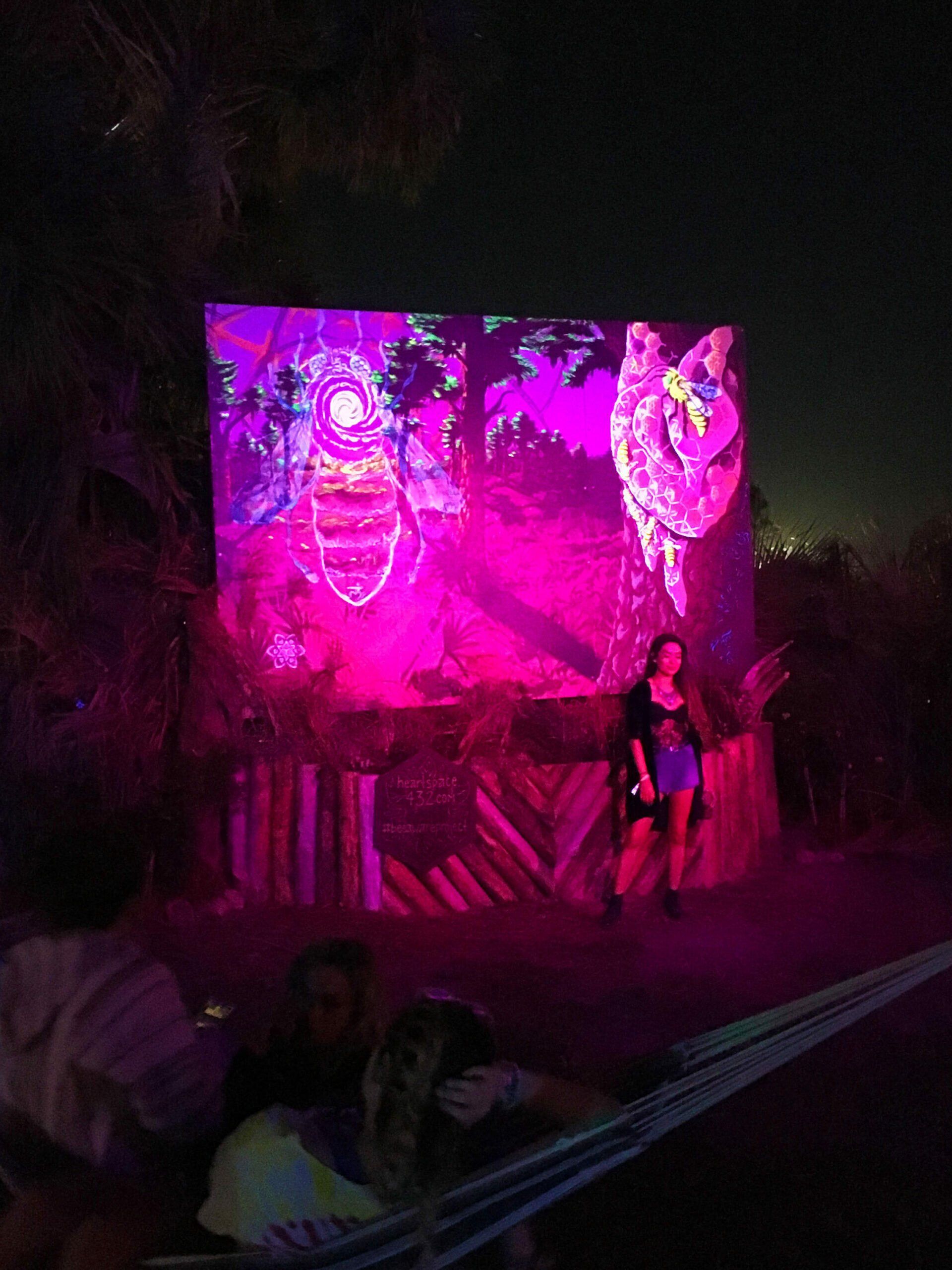 This image is the Bee Aware mural under pink lights. The lights reveal elements hidden in the painting under normal lighting. This Mural was installed at the Okeechobee music festival.