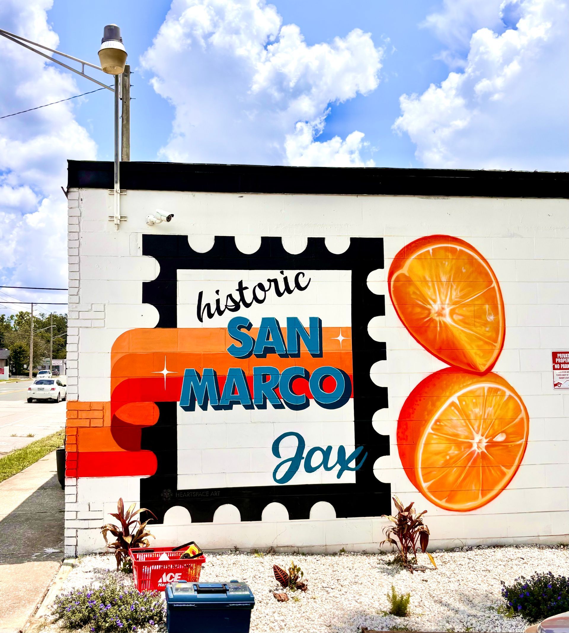 fruit mural. mural in san marco. murals in florida. abstract mural. mural art. public art. street art. outdoor mural.