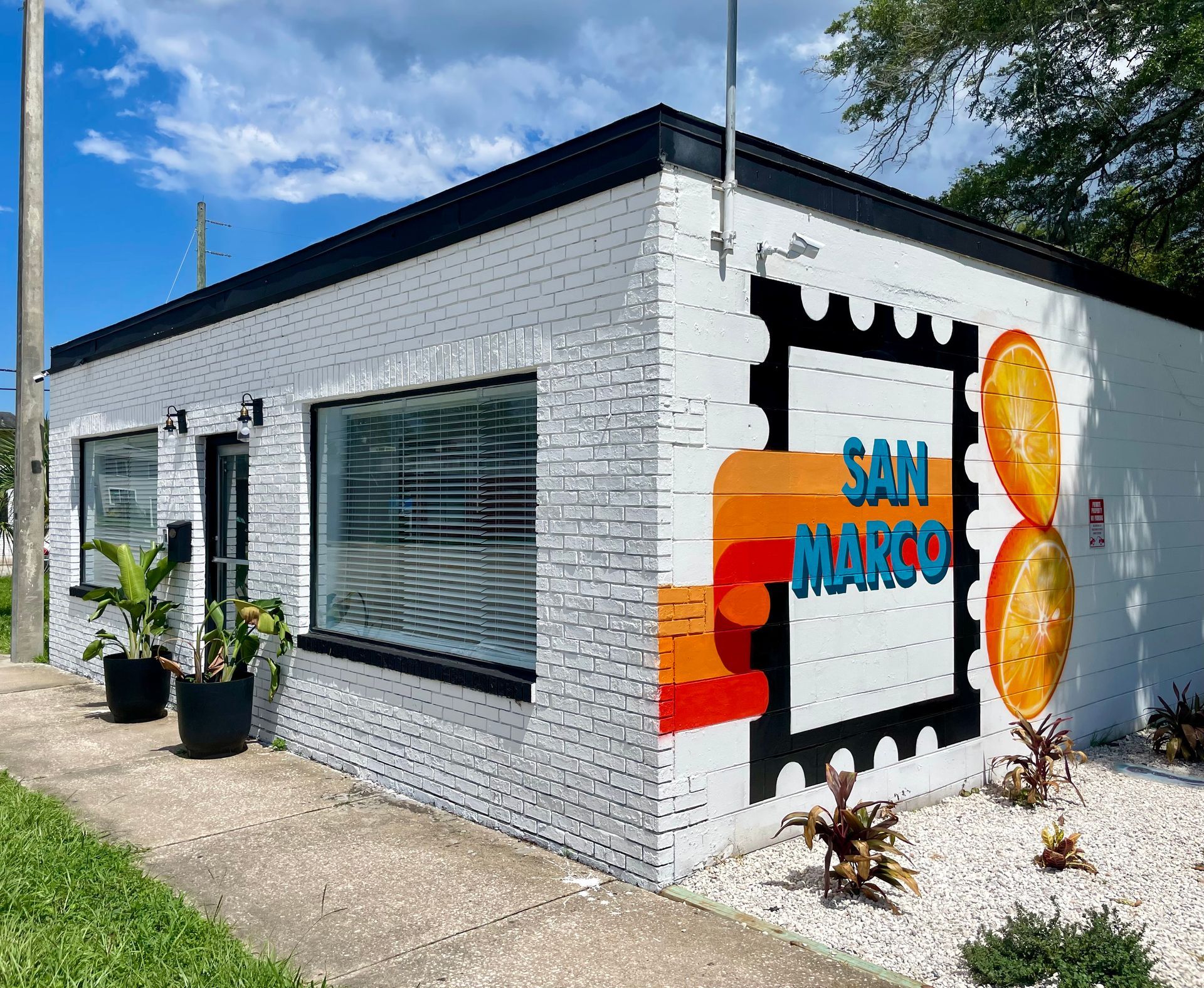 fruit mural. mural in san marco. murals in florida. abstract mural. mural art. public art. street art. outdoor mural.