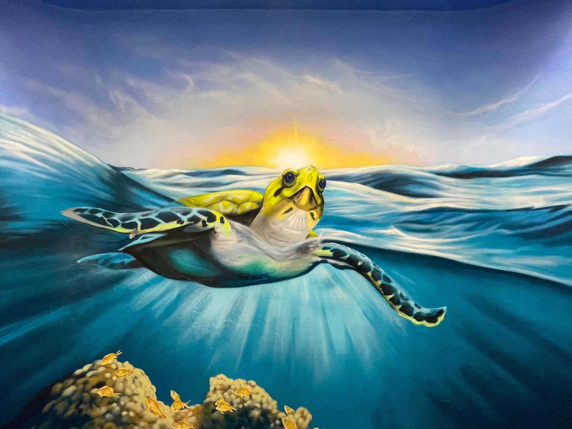 murals in florida. murals in jacksonville, fl. realistic mural. ocean mural. sea turtle mural. mural art. public art. hospital mural. 
