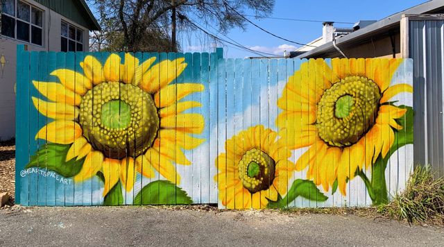 sunflower mural painting