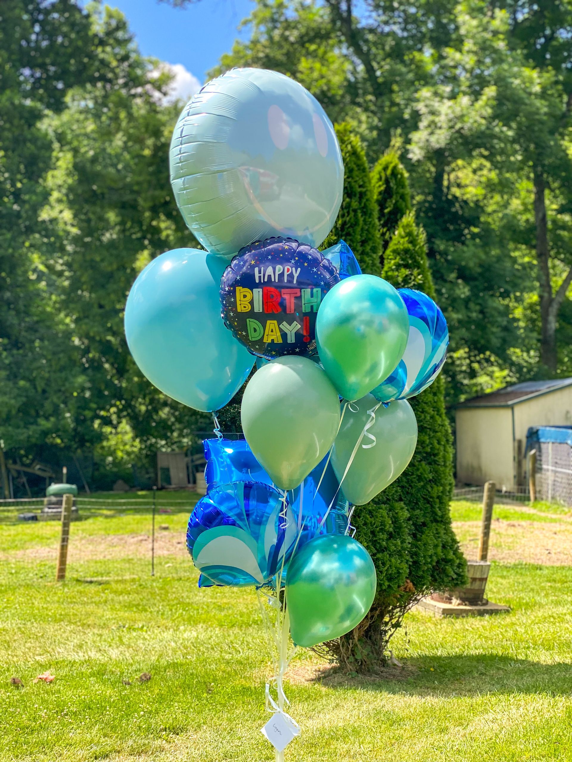 Whippany park high school is decorated with balloons and basketballs