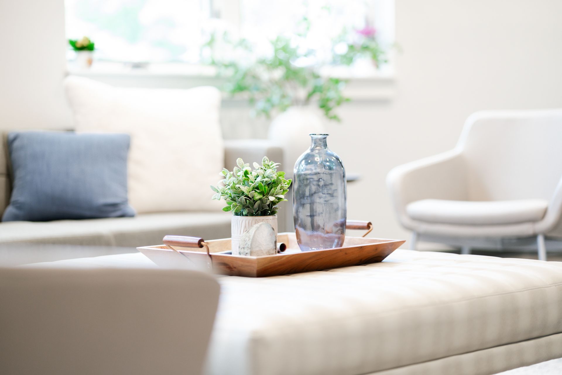 A tray with a vase and a plant on it is on a coffee table in a living room.