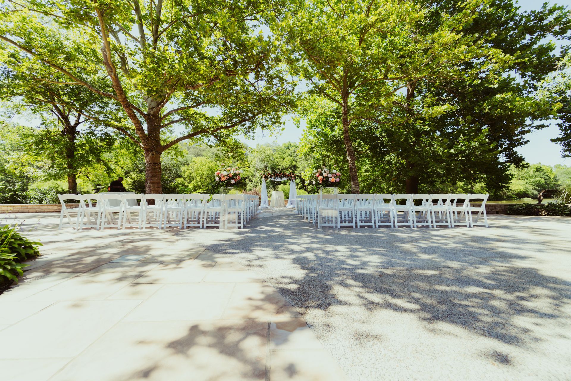 A row of white chairs are lined up in front of trees.