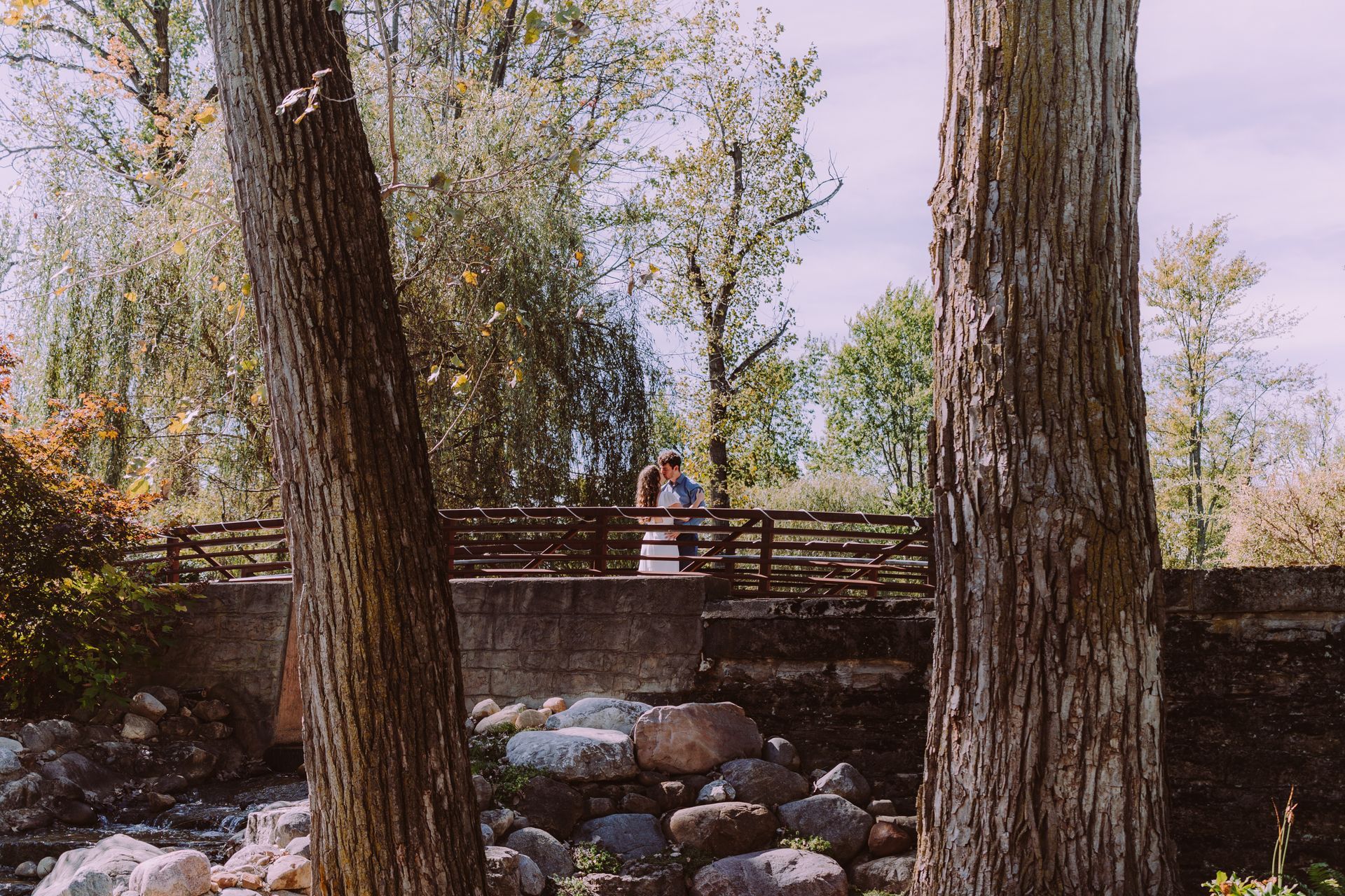 Two trees frame a view of a wooden bridge over a creek. People stand on the bridge, surrounded by trees.