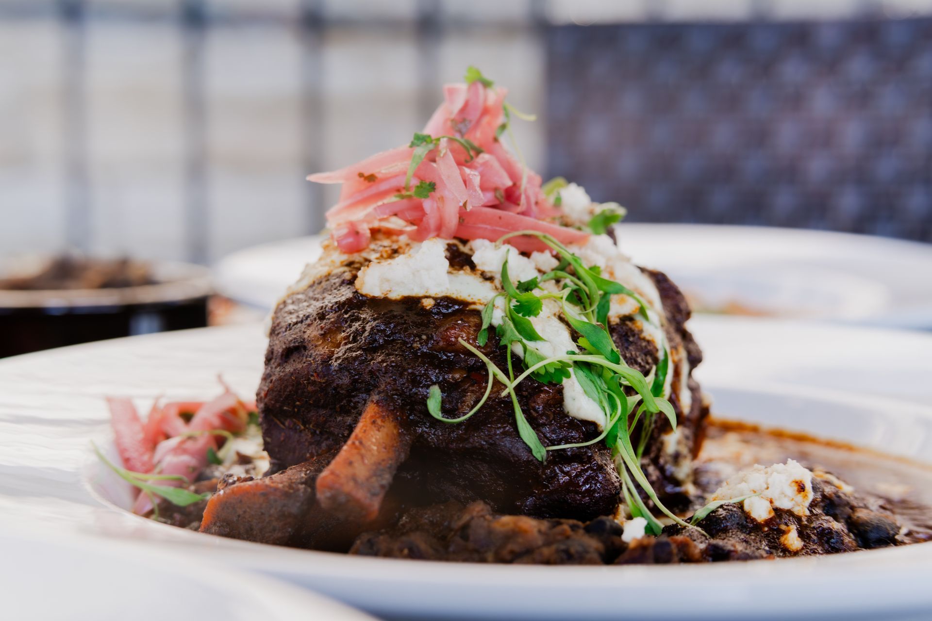 Dark mole-covered dish with pickled onions, microgreens, and cheese on a white plate.
