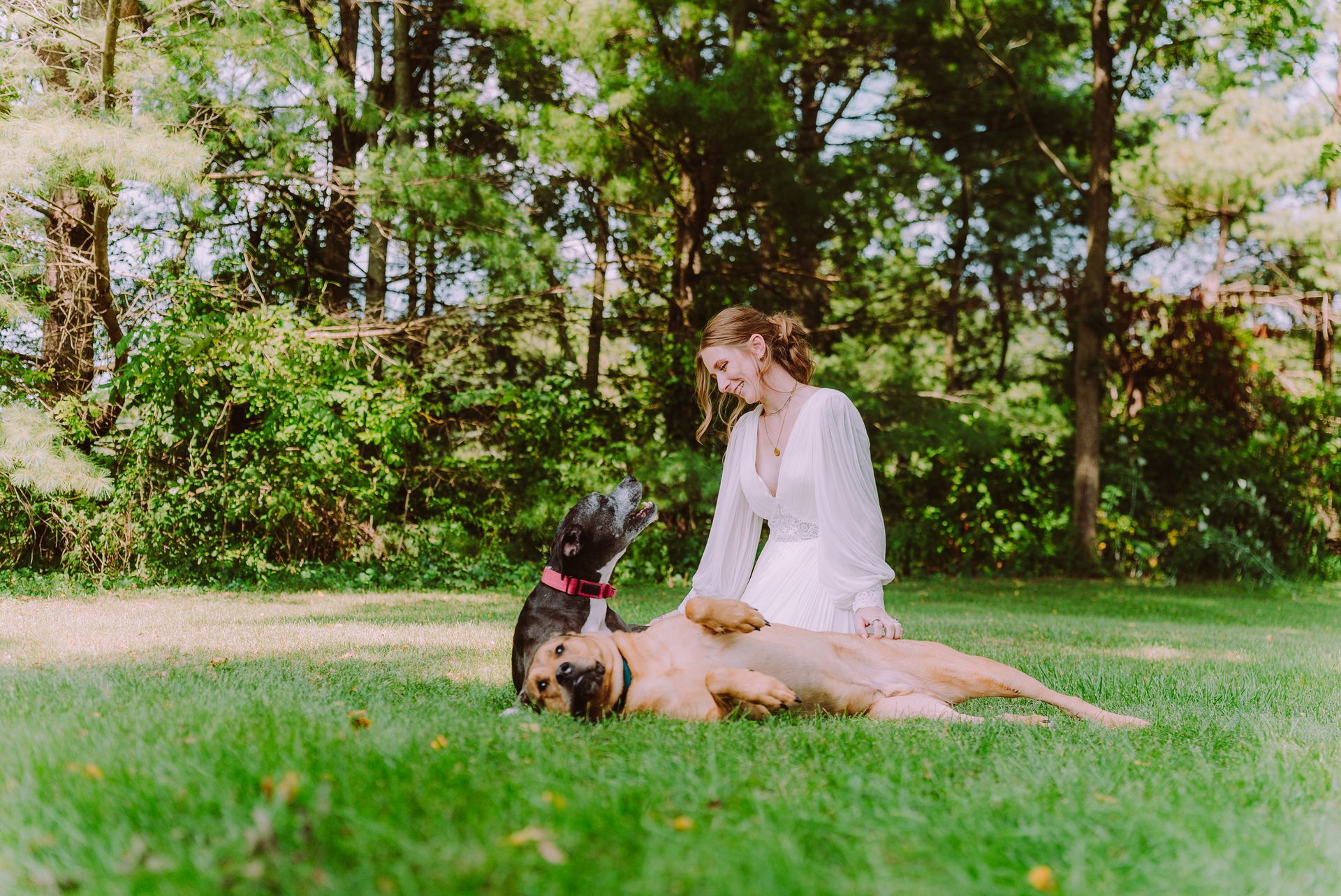 Woman in white dress pets a dog lying in the grass, another dog nearby in a sunny park setting.